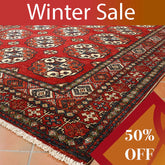 Handmade Afghan Ersari rug - WS295849